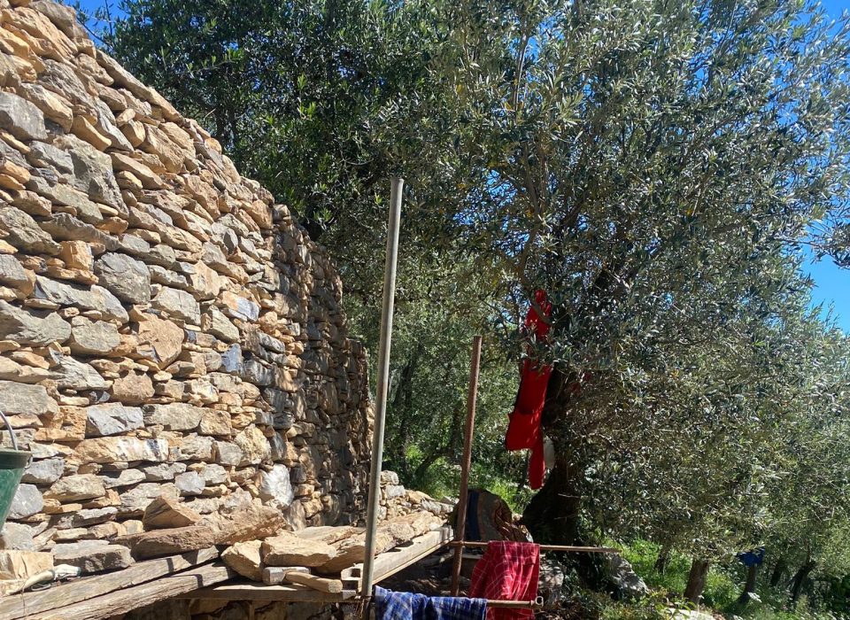 muretti a secco liguria portovenere